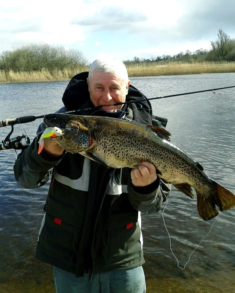 Trout