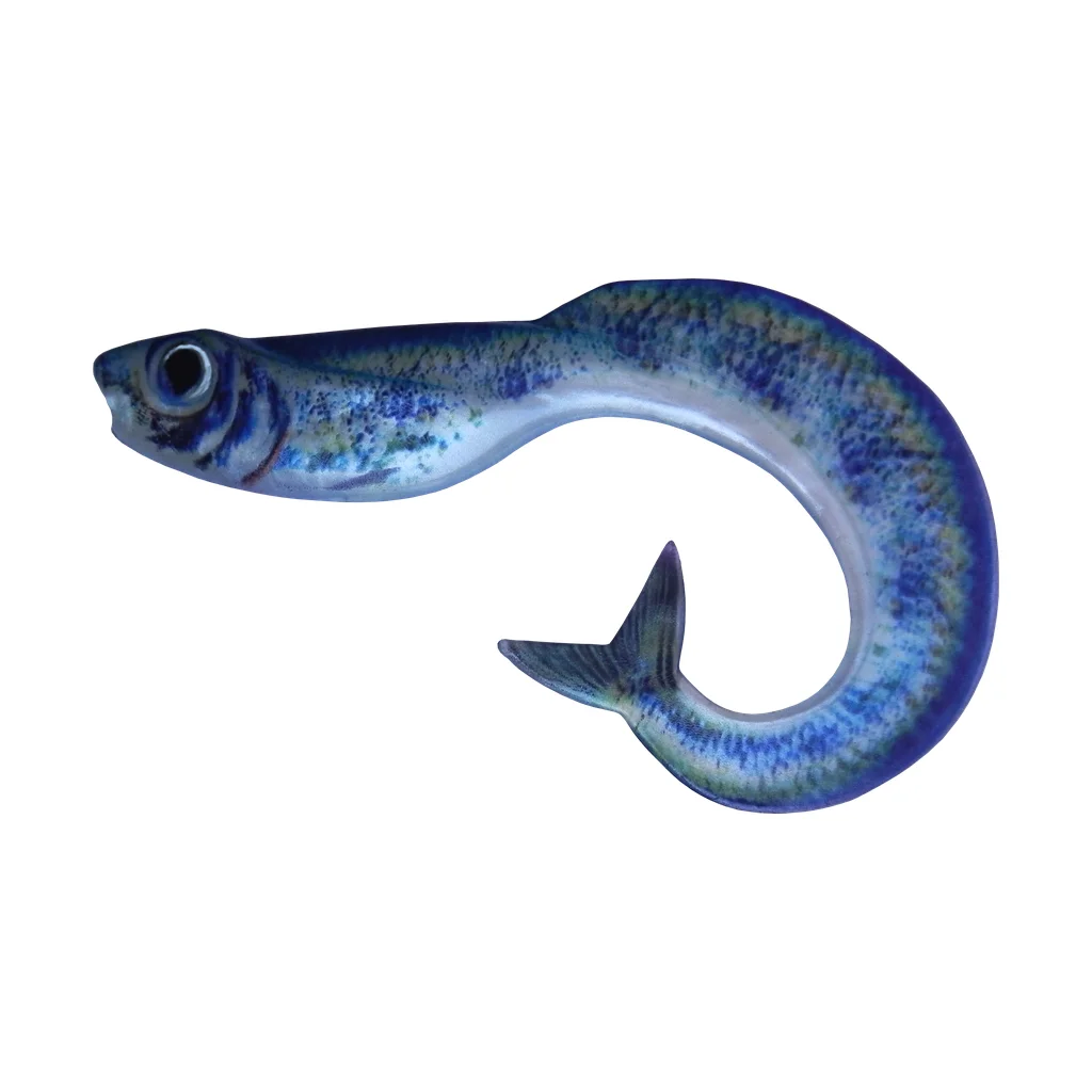 Orka Mermaid Blue Silver Eel