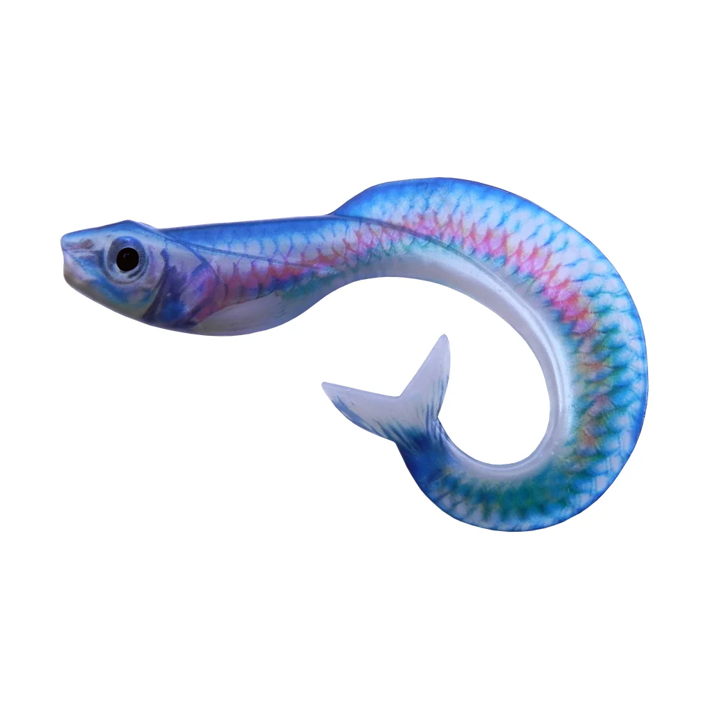 Rainbow Trout