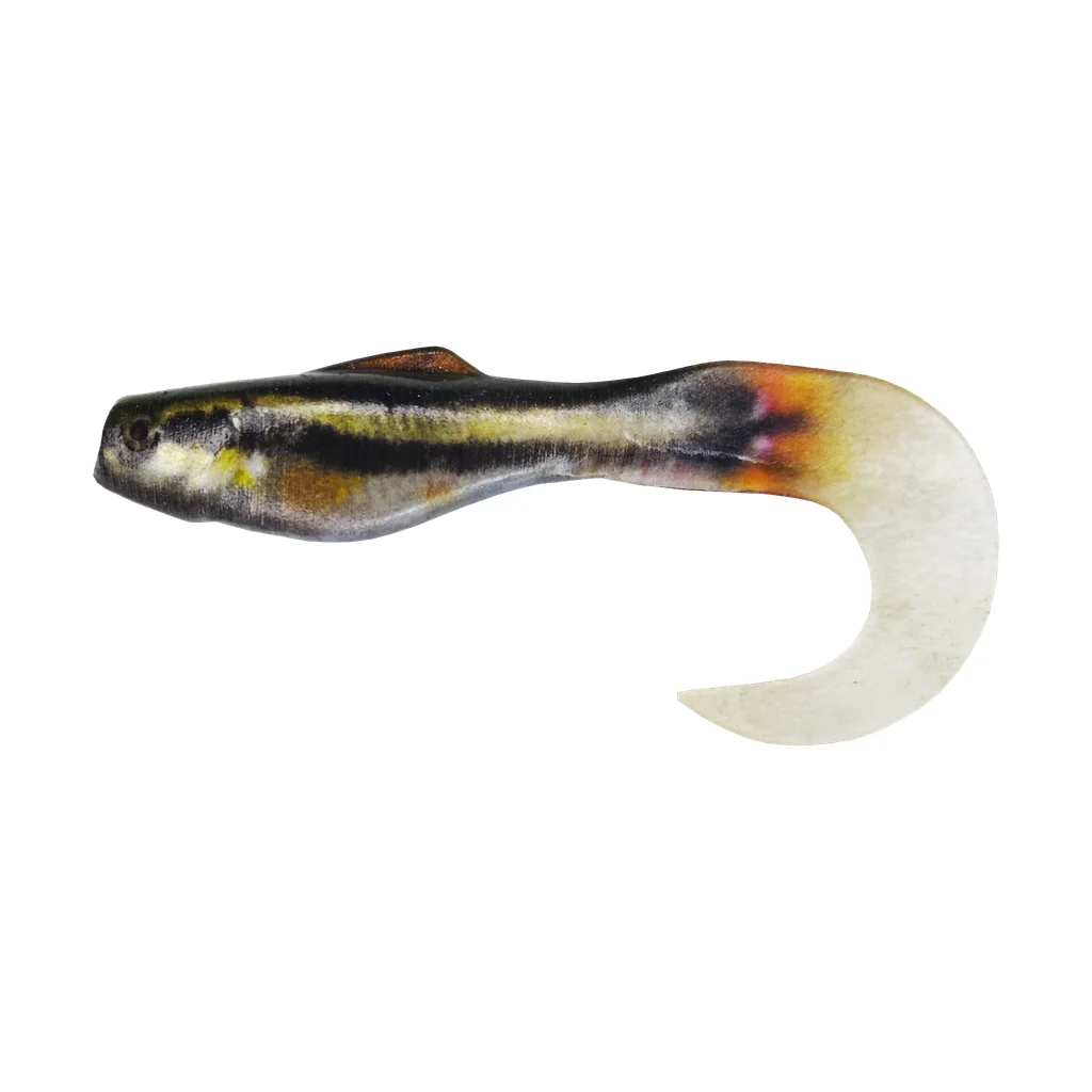Golden Shiner