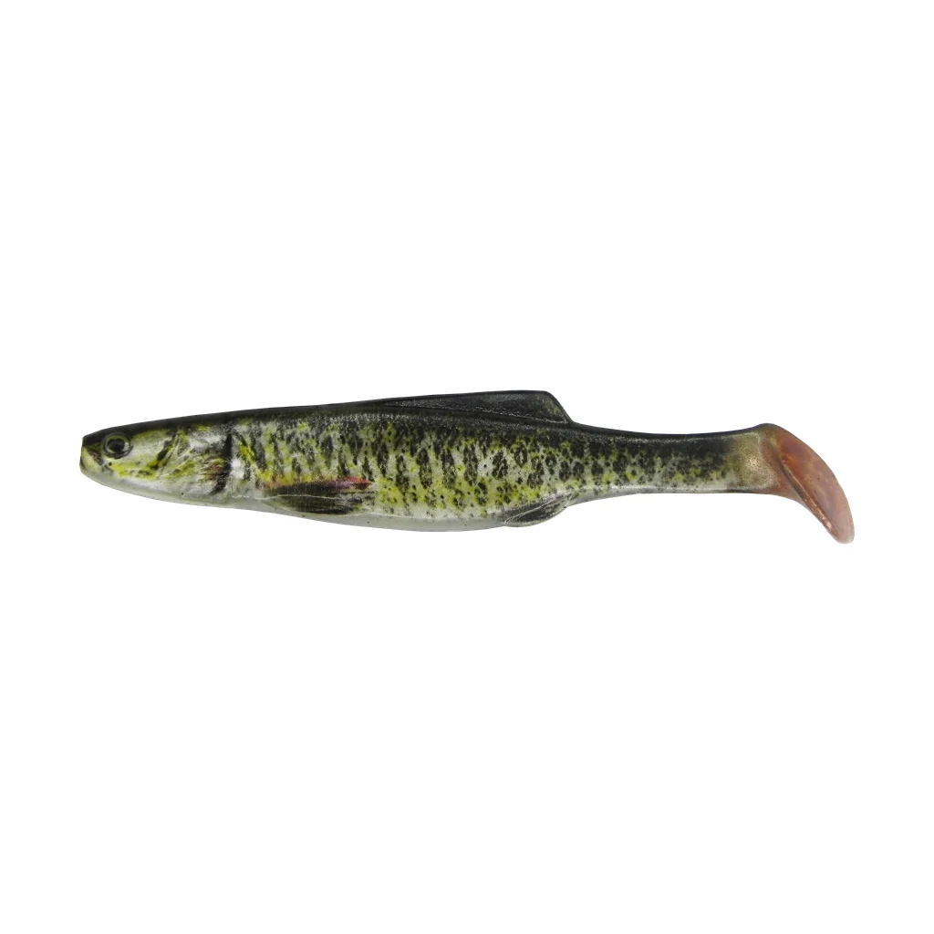 Brook Trout