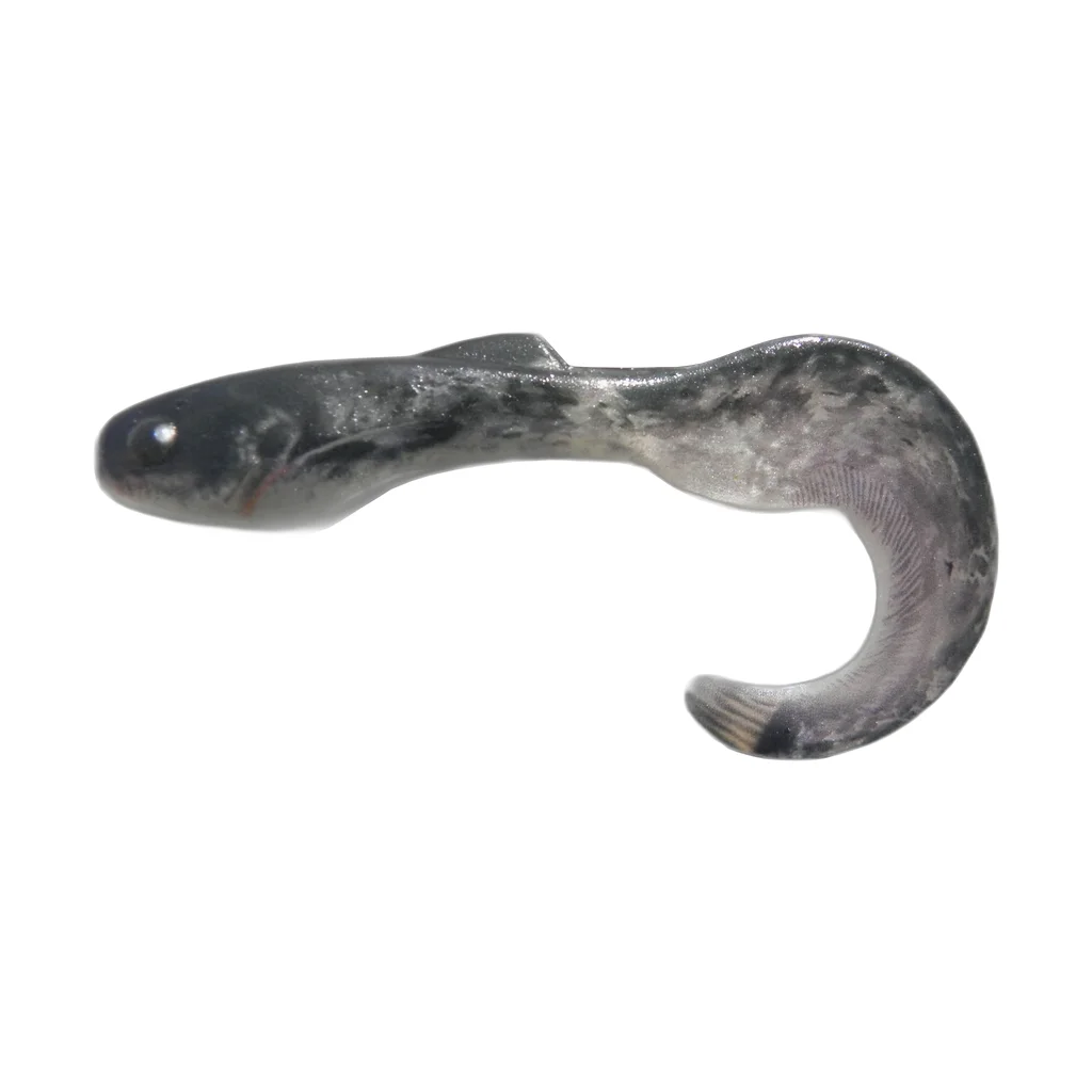 Black Silver Eel