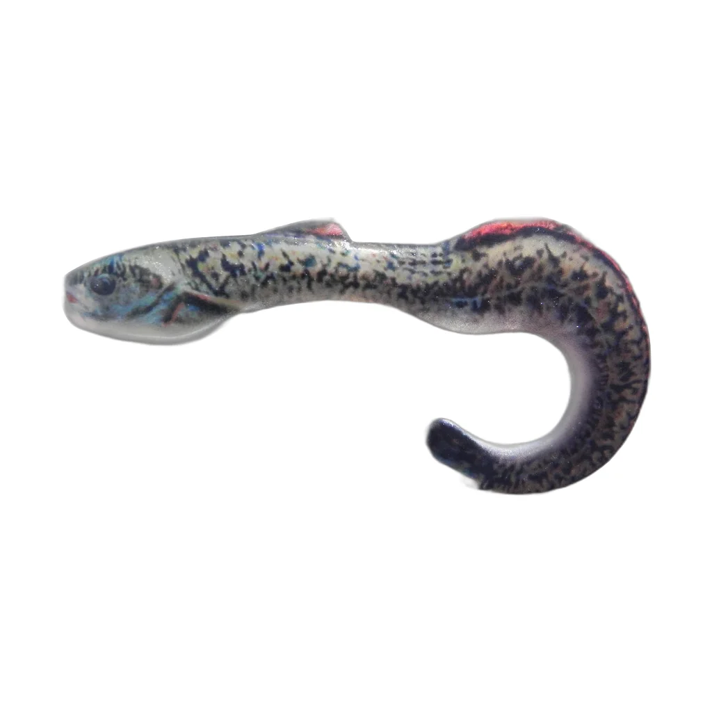 Dark Spotted Eel