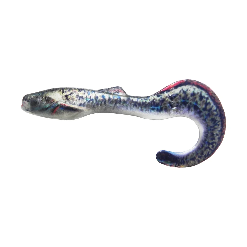 Shad Tail Dark Spotted Eel