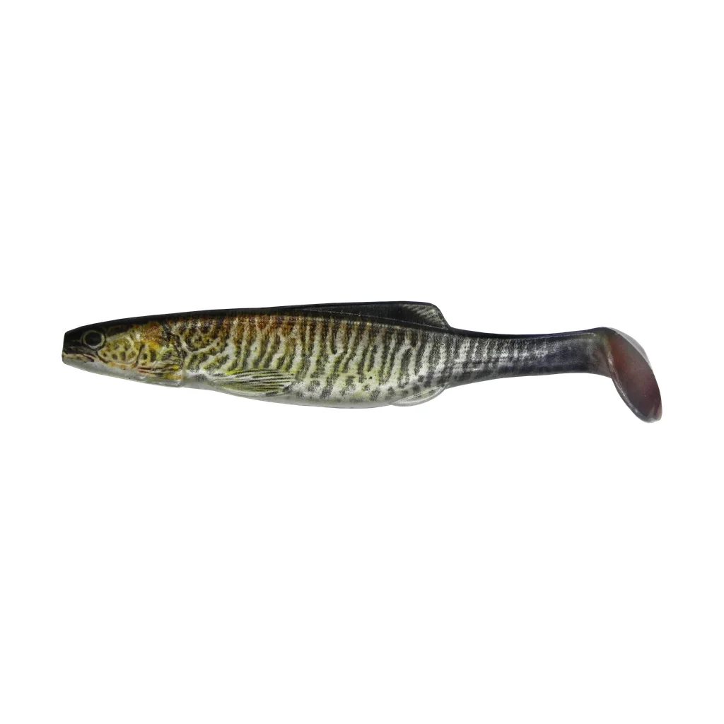 Shad Fire Perch