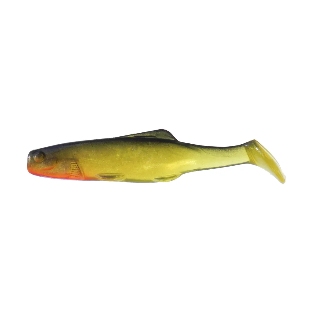 Shad Yellow Bass